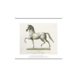  Horse For An Equestrian Statue Poster Print