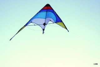 Cool New Stunt Kite_Dual Line/family/children/fly/gift  