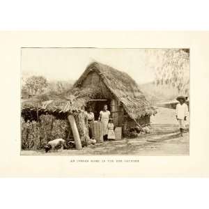  1908 Print Mexico Family Pig Agriculture Thatch Home 