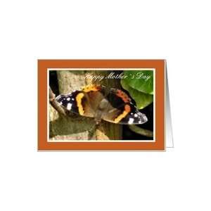  Mothers Day   Red Admiral Butterfly Card Health 