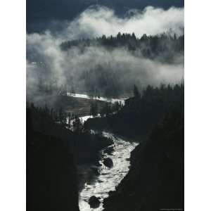  The River Cuts Silver Curves Through Dark Pines and Fog 