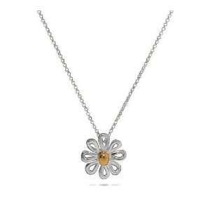   Daisy Jewelry Pendant Necklace with 16 Inch Chain: LaRaso: Jewelry