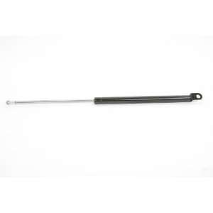  Strong Arm 4211 Hatch Lift Support Automotive