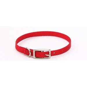 Dog Collar Nylon   18 in. Red with a Width of 5/8 in.