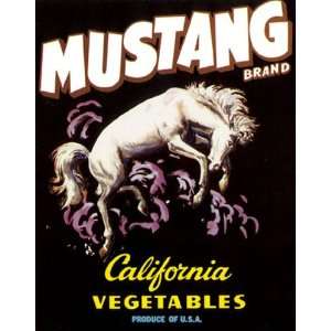  MUSTANG BRAND CALIFORNIA VEGETABLES WHITE HORSE USA CRATE 