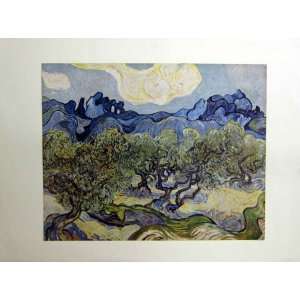   Van Gogh 1889 Landscape Olive Trees John Whitney Art