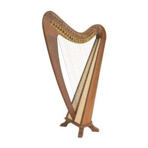  EMS Rosa Harp TM, 24 Strings BLEMISHED Musical 