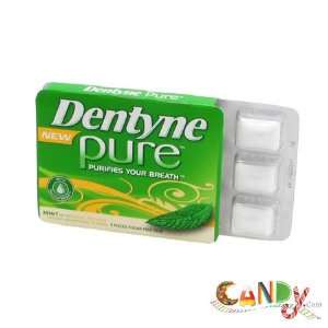 Dentyne Pure Melon 10 Count  Grocery & Gourmet Food