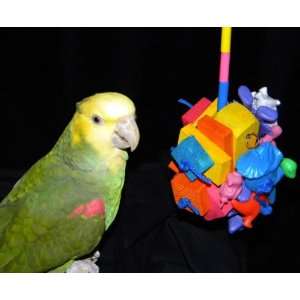  Birdy Cubed African Grey/ Bird Toy (Junior) Pet 