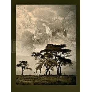 Tanzanian Landscape by Bobbie Goodrich 30x40 
