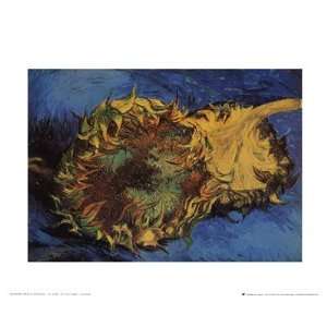   Finest LAMINATED Print Vincent Van Gogh 12x10