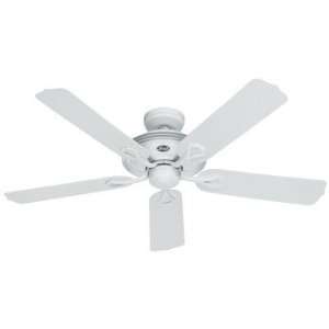   Hunter HR21955 52 in White Outdoor Ceiling Fan: Home Improvement