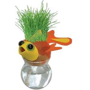  Grow A Head Marine Life Goldfish Toys & Games