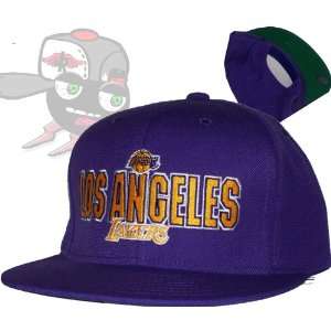    Los Angeles Lakers All Purple Snapback Hat Cap: Everything Else