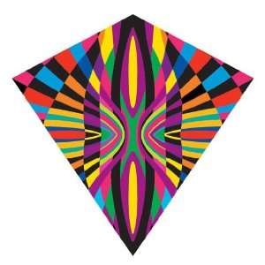   Kites ColorMax Nylon Multi Colored Patterns Kite 25 Inch: Toys & Games