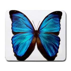  Butterfly blue Large Mousepad mouse pad Great Gift Idea 