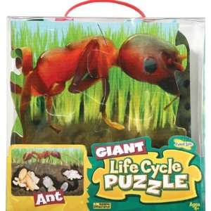  4 Pack INSECT LORE ANT GIANT LIFECYCLE PUZZLE Everything 