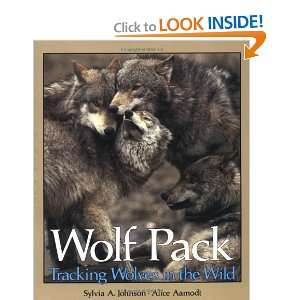  Wolf Pack Tracking Wolves in the Wild (Discovery 
