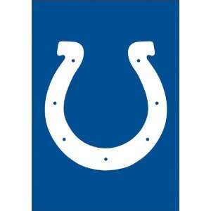 Indianapolis Colts Mini Garden Flag:  Sports & Outdoors