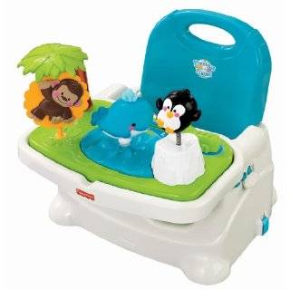  Fisher Price Luv U Zoo Busy Baby Booster Baby