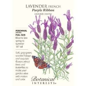  Lavender French Purple Ribbon Seeds 100 Seeds: Patio, Lawn 