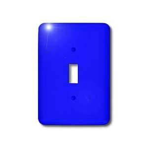 Florene Designer Colors   Electric Blue   Light Switch Covers   single 