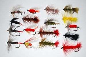 Lot New Fly Fishing Flies Trout Lures Bugs Wooly Bugger  