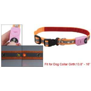   SMT LED Orange Gray Nylon Belt Rope Collar for Dog Pet: Pet Supplies