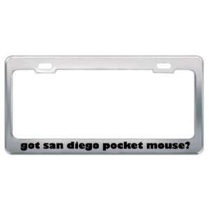 Got San Diego Pocket Mouse? Animals Pets Metal License Plate Frame 