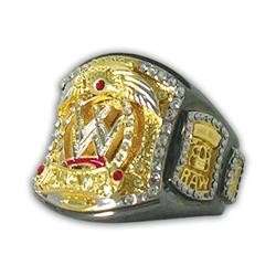 WWE Spinning Championship Replica Jewelry Finger RING  