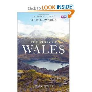  The Story of Wales (9781849903721) Jon Gower, Huw Edwards Books
