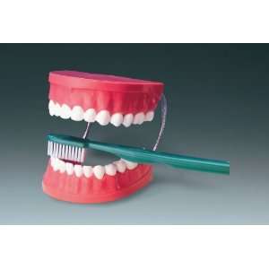  Oral Hygiene Set