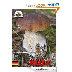 Pilze 2 (German Edition) Zlatko Ivec  Kindle Store