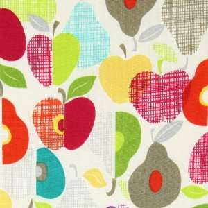  Timeless Treasures Fruit Punch Organic Multi Fabric by the 
