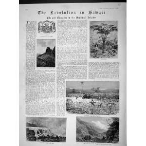  1893 HAWAII CATTLE LAKE KILAUEA VALLEY IAO HONOLULU