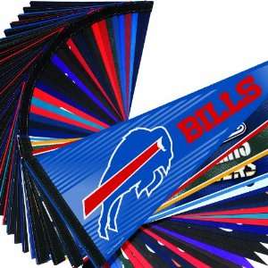  NFL Mixed Teams Pennant Pack