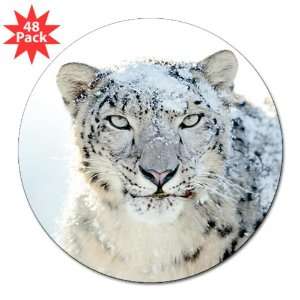  3 Lapel Sticker (48 Pack) Snow Leopard HD Apple 