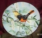 treasury of songbirds by rob stine plate 5 baltimore