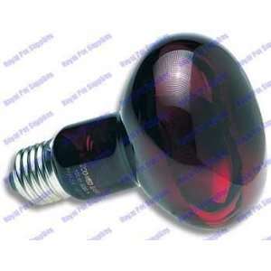  250 Watt Infrared Inc Nocturnal Bulb 