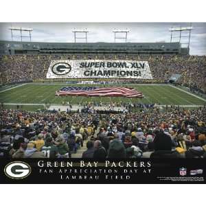    Green Bay Packers Champions Stadium Print
