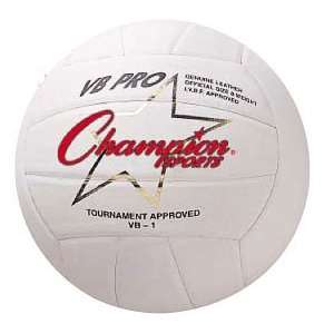  NFHS Official Pro Series Leather Volleyballs VB1 WHITE 