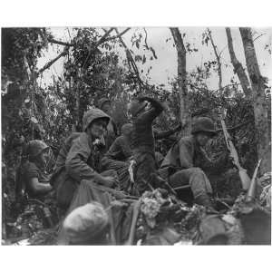   Battle of Suicide Ridge, Peleui Island,World War II