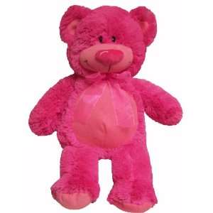  ADORABLE COLORFUL TEDDY BEAR: Toys & Games