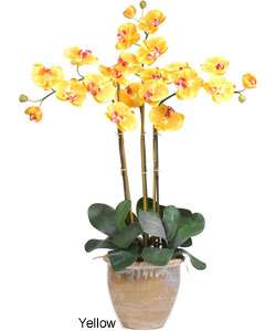 Triple stem Phalaenopsis Silk Orchid Plant  