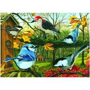 New Outset Media Games Blue Jay & Friends Puzzle 1000 Pc Finest Inks 