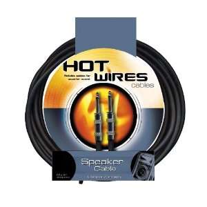   Wires 1/4 to 1/4 Inch Speaker Cables   10 Feet Musical Instruments