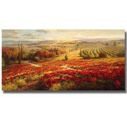 Roberto Lombardi Red Poppy Panorama Canvas Art  Overstock