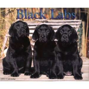  Just Black Labs (9781572236028): Willow Creek Press: Books