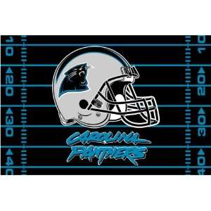 Carolina Panthers   NFL 39x59 Tufted Rug  Sports 