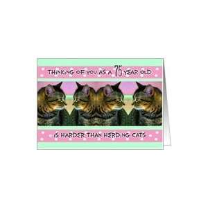  Birthday, 75, Funny, Her, Herding Cats Card Toys & Games